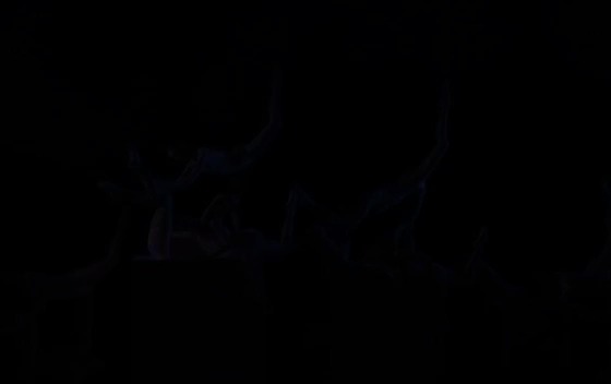 beyond--the--barre--web