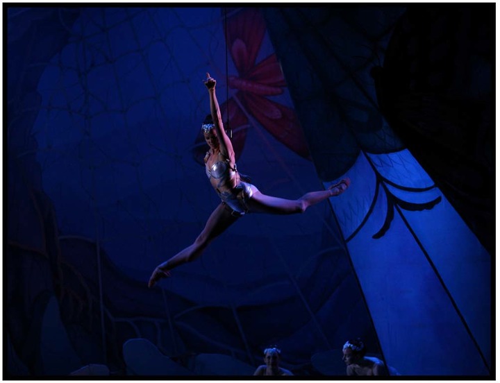 Faeries - Claire Phipps