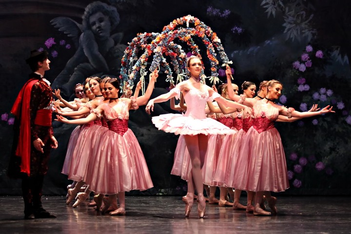 Aurora -Clare Morehen